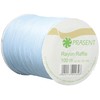 Prasent 100 m Rayon Raffia Spool Rayon, Light Blue