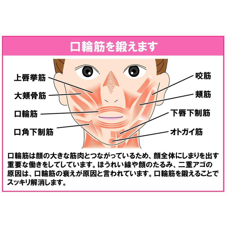 オムニ NEWフェイシャリフトアトワンスビギナーズセット ピンク