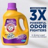 ARM & HAMMER Plus OxiClean Odor Blasters Fresh Burst, 77