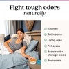 Azuna Azuna Air Freshener & Odor Eliminator for Strong Odor