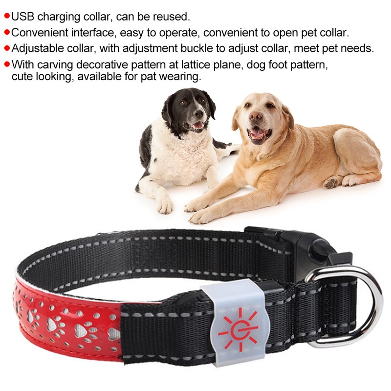 LED Pet Glowing Adjustable Safety Rechargeable Collar USB Charging for