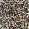 Buffalo Tools DMW5 5Lb Dried Mealworm