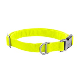 Carhartt Field Dog Collar, Fully Adjustable, Durable 600-Denier Fabric W/Reflective Wordmark for Visibility, Brite Lime, Medium