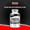 Testrol Creatina Essential Creatina Monohidratada Apoyo a Potencia, Resistencia y