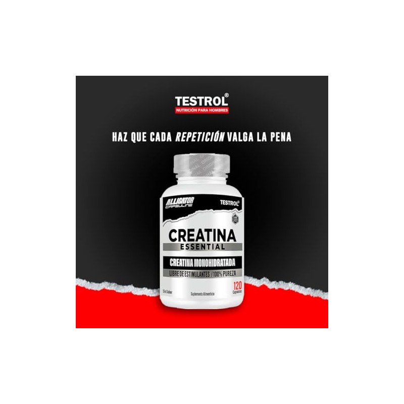 Testrol Creatina Essential Creatina Monohidratada Apoyo a Potencia, Resistencia y
