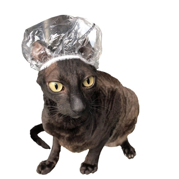 Kotomoda Shower Caps for Sphynx Cats and Small Pets Pack