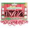 Organic Mini Berry Flavored Individually Wrapped Candy Canes, Holiday Gifts