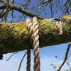 Tree Swing Conversion Ropes Complete Kit with Galvanised Steel Fixings