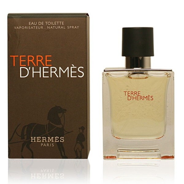 Hermes Terre d'Hermes Eau de Toilette 100ml / 에르메스 떼르