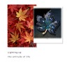 Rhinestone Maple Leaf Brooch Tree Lapel Pin Bling Crystal Pin