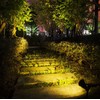 RBFVZCCB Waterproof Solar Power Lamp Light for Outdoor Plant