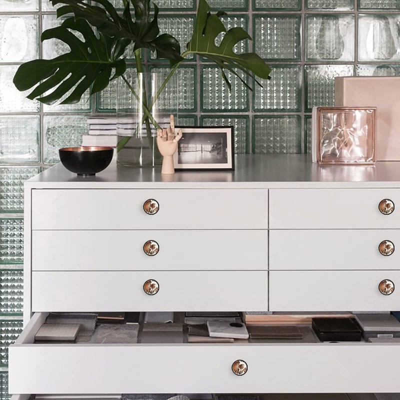 Elohiym 6 Pack Black Drawer Pulls Knobs, Red and White