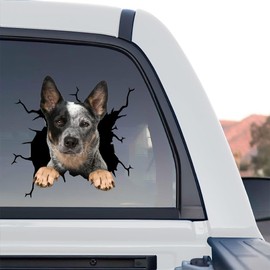 Petpalstickers Cute Dog Stickers for Car Window Decals Waterproof Funny Sticker (Australian Cattle Sticker)