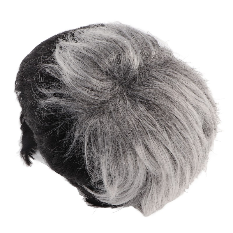 Men Wig Heat Resistant Short Grey Layered Airy Natural Stylish