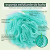 Esponja de Baño Exfoliante Ecopouf EcoTools - Modelo 7424