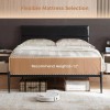 tooluck Modern Queen Bed Frame with Headboard All Metal Slats
