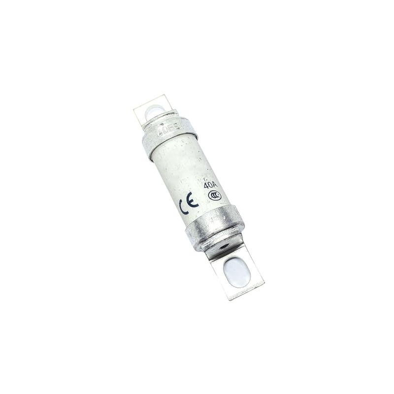1 fusible tipo T 40FE (40 amperios) 40A 690V