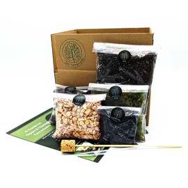 DIY Medium Open and Closed Terrarium Kit (Champagne Pebbles)