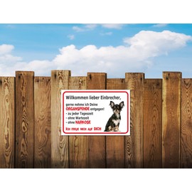 AdriLeo Sign, "Vorsicht Chihuahua- Willkommen lieber Einbrecher (15 x 20 cm) / Achtung Familienhund Wachhund German Small Dog Robust Durable UV-Resistant Weatherproof Warning Sign