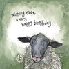 ALEX CLARK Sheep and Daises Birthday Card