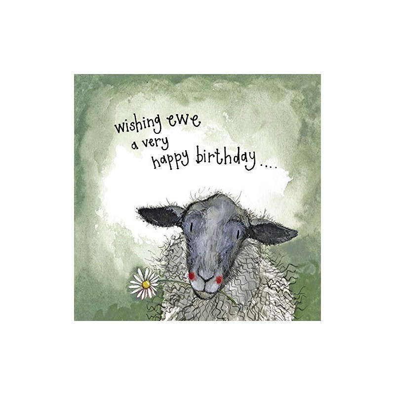 ALEX CLARK Sheep and Daises Birthday Card