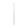 Sunstar Stationery Chiikawa Pencil, Dozen, 2025 New Entrance Supplies, Character