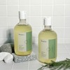 Bonajour Vegan Tea Tree Scalp Refreshing Vegan Shampoo 320ml /