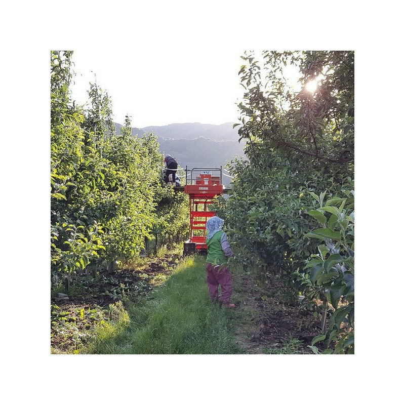 영주마실 풋사과분말 150g /건강과일가루 Yeongju Apple Powder 150g / Healthy