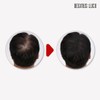 Beginner's Luck Smart Hair Powder Basic Set Main Product*1 +