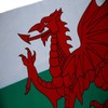 AIMALL Large Wales Welsh Flag with Brass Grommets Heavy Duty