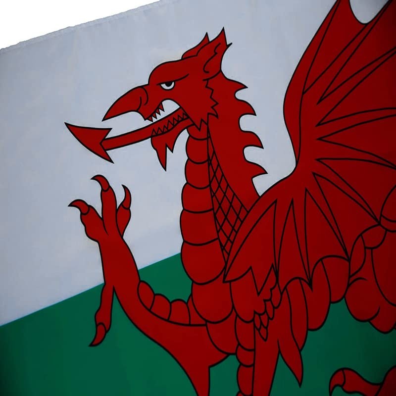 AIMALL Large Wales Welsh Flag with Brass Grommets Heavy Duty
