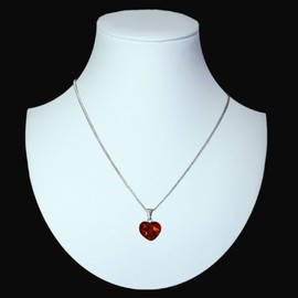 In Collections P614400050570 Silver Amber Necklace with Pendant