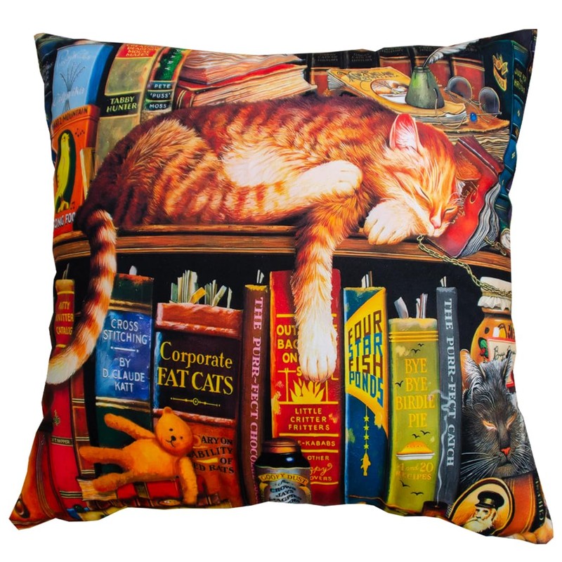 DILOXNSU Cat Cushion Covers Lovely Bookshelf Sleeping Cat Gifts for