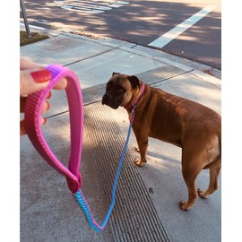 Mycicy 2/3/4/6/10 Foot Reflective Dog Leash Strong Nylon Rope Braided Heavy Duty for Large and Medium Small Dogs Walking Training Leads (Pink, 6ft * 1/2")