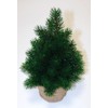 Mini Christmas Tree 33 cm Very Real Looking