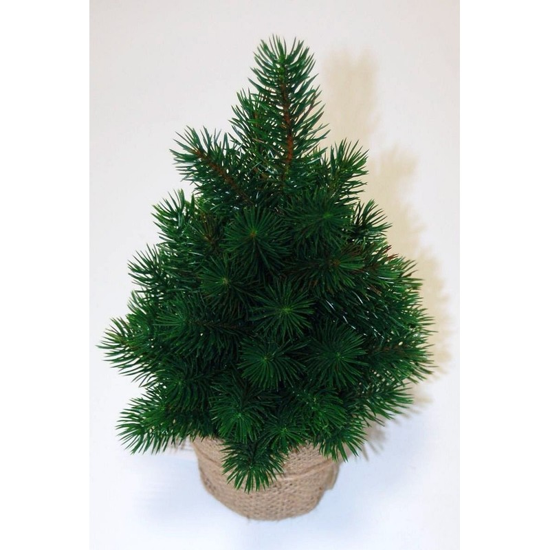 Mini Christmas Tree 33 cm Very Real Looking
