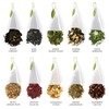 Tea Forte Tea Tasting Assortment Premium Petite Presentation Box Gift