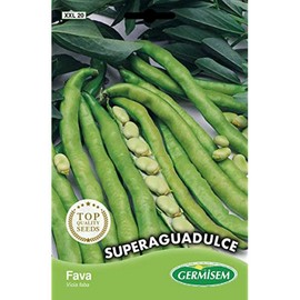 Germisem Aguadulce Puff Beans, Multi-Colour, XXL 20