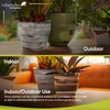 Robert Allen by Headwind - Ironstone Vanhorne Glazed Metal Planter