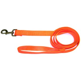 Hamilton Single Thick Nylon Lead with Snap -1 inch x 6 foot lead - Mango Orange