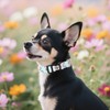 Cute Dog Collar with QR Code Buckle - Adjustable Metal