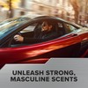 Driven Novelty Air Freshener (Black Out Scent, 2 Pack)