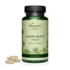 Olive Leaf Extract Vegavero® | Highest Strength 40% Oleuropein |
