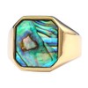 Renning Abalone Shell Signet Rings for Men Women Stainless Steel