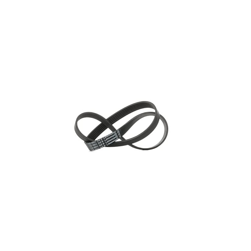 CONTITECH 6PK1090 V-Ribbed Belt
