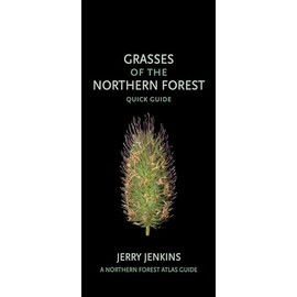 Grasses of the Northern Forest: Quick Guide