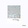 Hemway Resin Glitter Silver Holographic 500g Fine