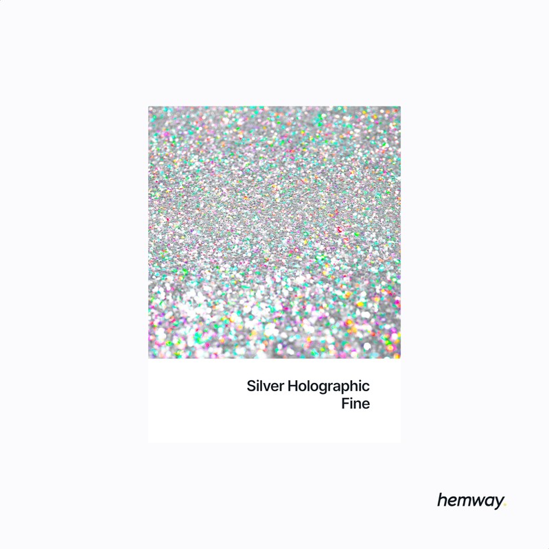 Hemway Resin Glitter Silver Holographic 500g Fine