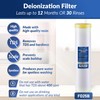 iSpring FD25B Deionized Water Filter for Spotless Car Wash System,