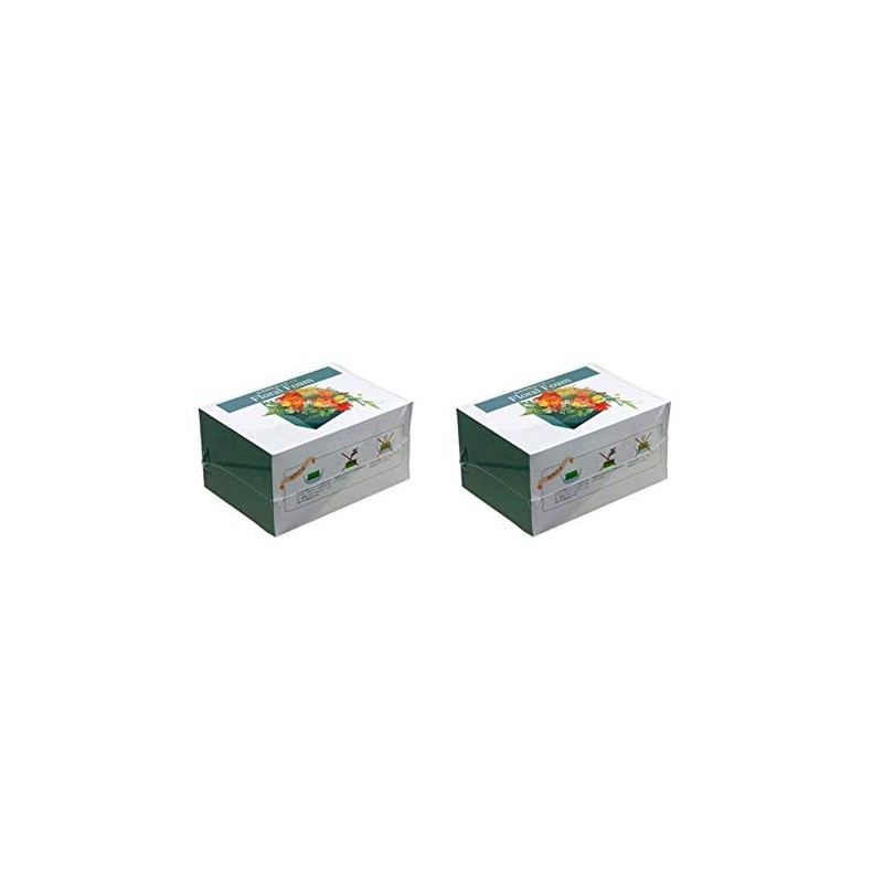 Nippan Floral Foam Fresh Flower Sponge (Set of 2)